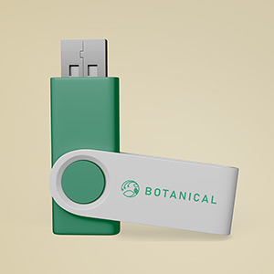 Parmi les goodies plébiscités, la clé USB d'une contenance de 2Go est souvent citée.